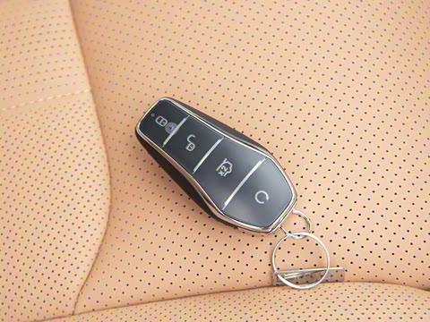 2025�� DM-p ���������״��콢��