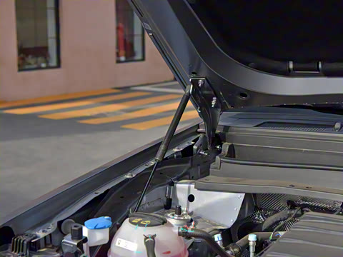 2025�� 2.0TD XWD �Զ�����+�ӳ��� 7��