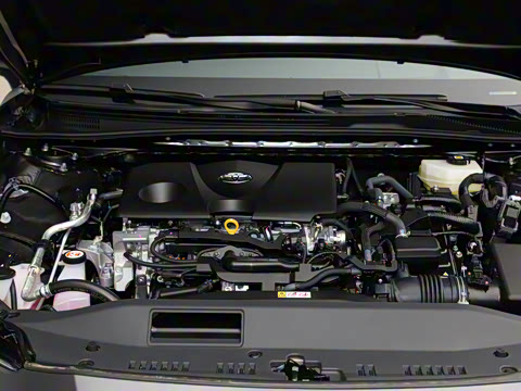 2025�� ˫�� 2.0HXS ��԰�