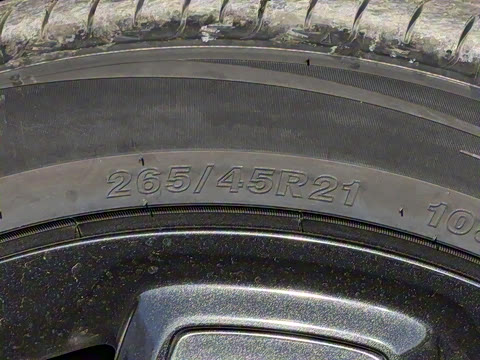 2025�� 501�����Ǽݰ�