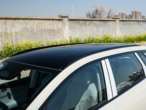 2025�� 520KM�Ǻ���