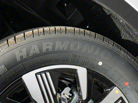 2025�� DM-i �Ǽݰ� 75KM������