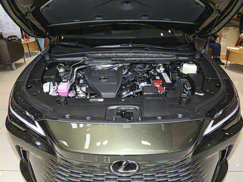 2025�� 300 ����������