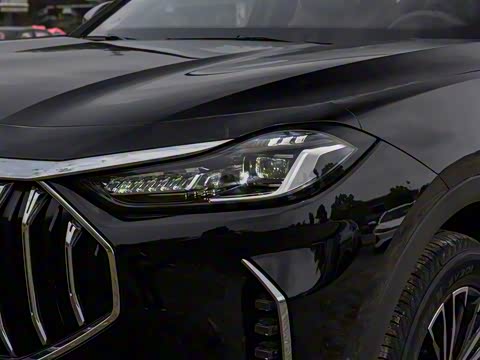 2024�� �ھ��� 1.5T �ֶ��ھ� 5��