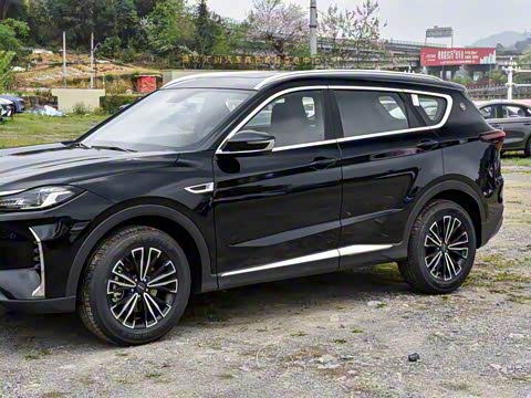 2024�� �ھ��� 1.5T �ֶ��ھ� 5��