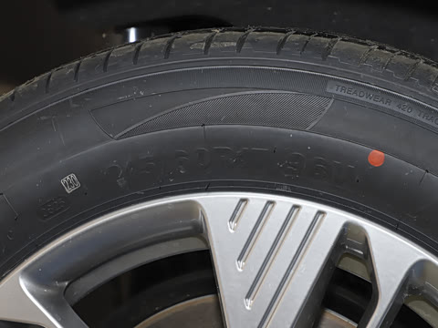 2025�� 565km ������