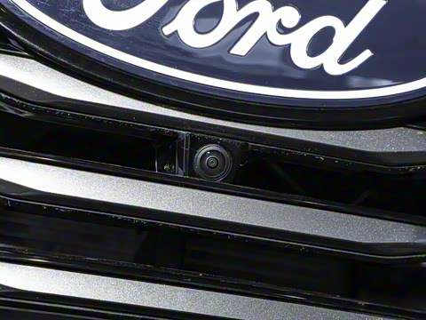 2025�� ������