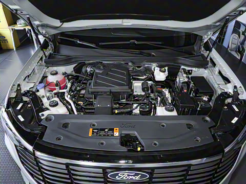 2025�� ������