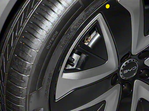 2025�� 150 �캽+��