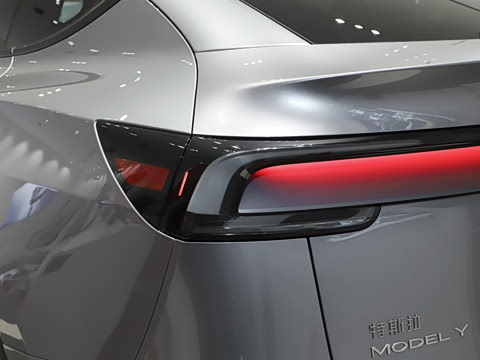 2025�� ����������