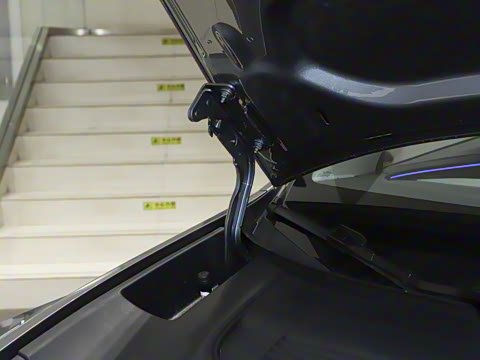 2025�� ����������