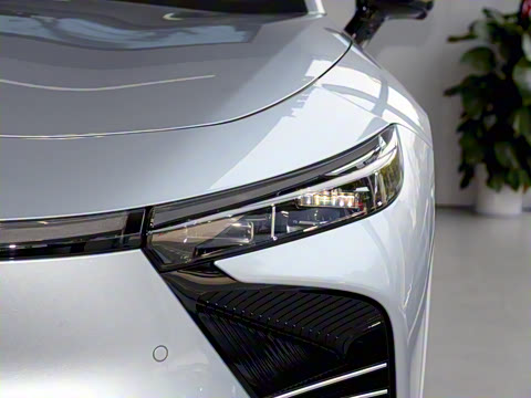 2025�� ���� Max ����������ʻ