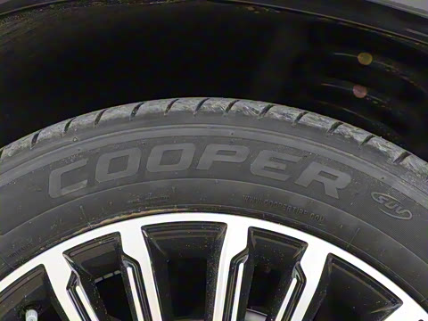 2025�� 1.5T 106KM������ 5�� �������