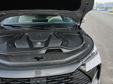 2025�� �Ǽݰ� DM-i 115KM �콢��