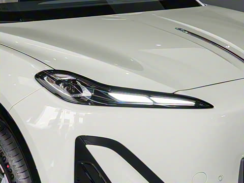 2025�� 520 ��ѡ��