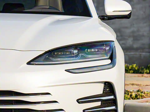 2025�� DM-i �Ǽݰ� 112KM �����