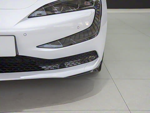 2025�� EV ����������