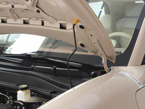 2025�� 430km ������