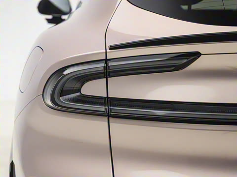 2025�� ��������������