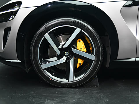 2025�� ������������������Max��