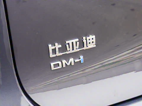 2025�� �Ǽݰ� DM-i 115KM ������