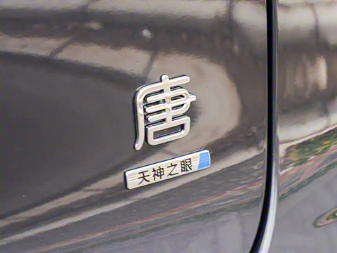 2025�� �Ǽݰ� DM-i 115KM ������