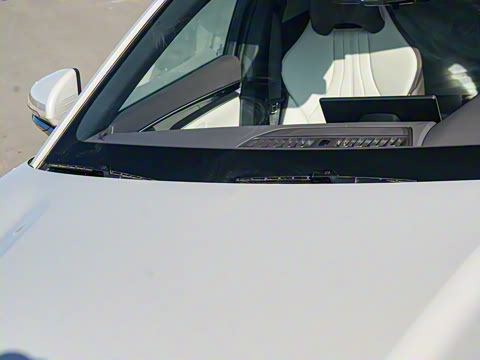 2025�� DM-i �Ǽݰ� 112KM �����