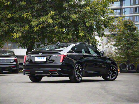 2025�� 28T �����˶���