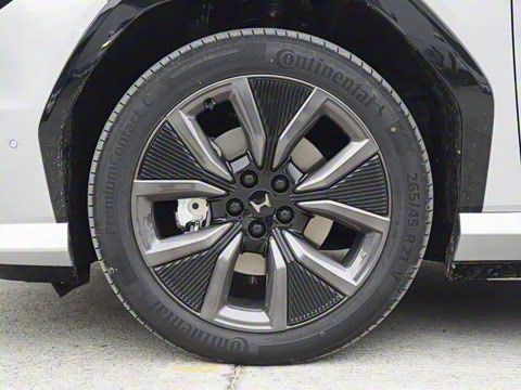 2025�� ����������Max