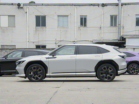 2025�� ����������Max