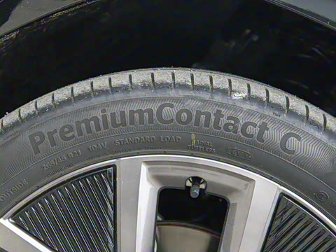 2025�� ����������Max