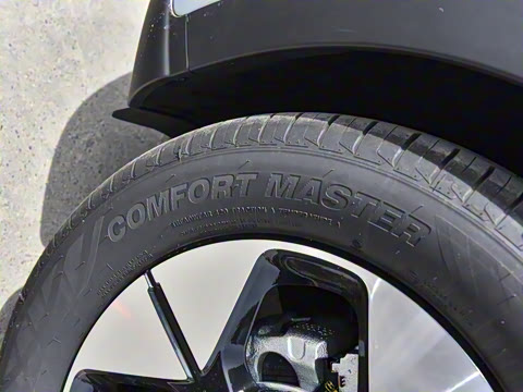 2025�� 310km �����