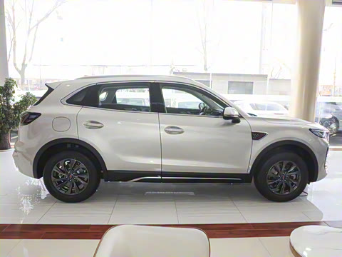 2025�� 2.0T ��������Pro��