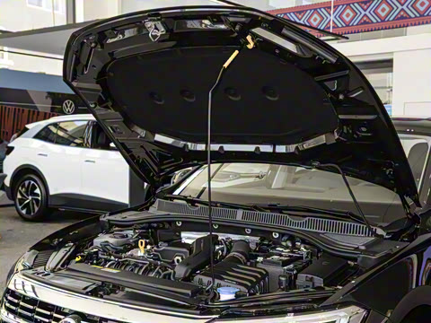 2025�� �Ŀ�� 300TSI DSG׿Խ��