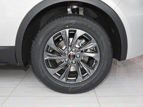 2025�� 2.0T ��������Pro��