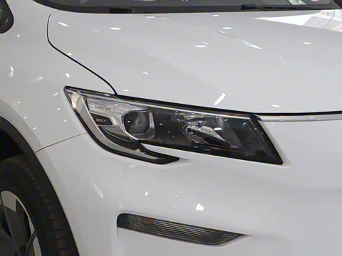 2025�� �������캽��