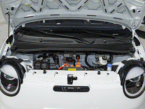 2025�� 301km �ȱ���