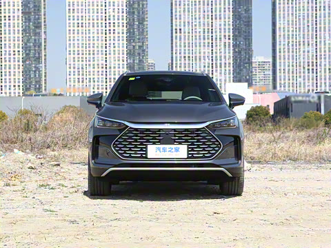 2025�� �Ǽݰ� DM-i 115KM �콢��