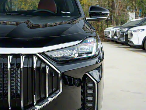 2024�� �ھ��� 1.5T DCT�ھ�MAX 7��