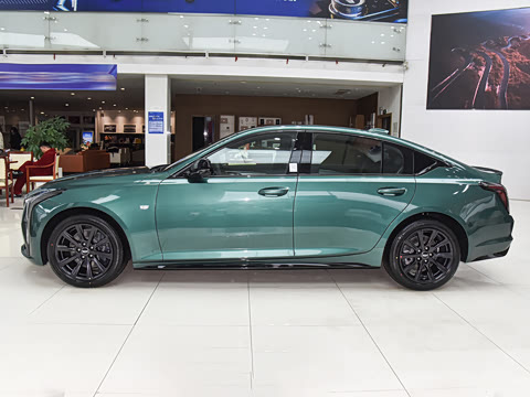 2025�� 28T �������ܰ�