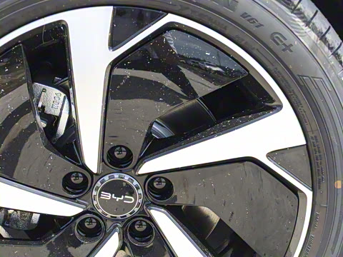 2025�� DM-i 170�캽Plus��