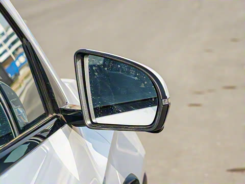 2025�� �ڶ��� �Ǽݰ� DM-i 115KM��Խ��