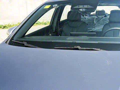 2025�� �ڶ��� �Ǽݰ� DM-i 115KM��Խ��