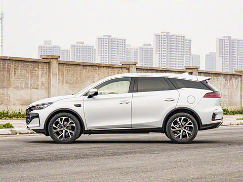 2025�� �Ǽݰ� DM-i 115KM ������