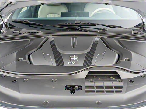 2025�� �Ǽݰ� DM-i 115KM ������