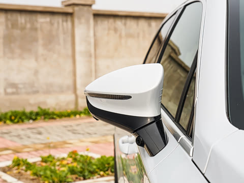 2025�� �Ǽݰ� DM-i 115KM ������