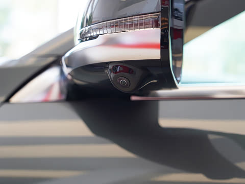 2025�� ��������� 515�����