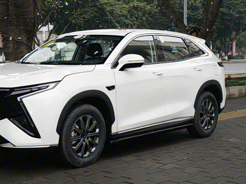 2025�� 1.5T ɽ�������� 7��