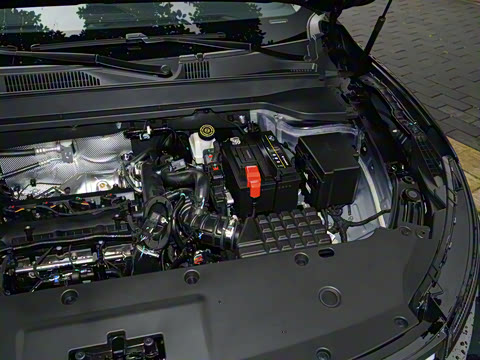 2025�� 1.5T ɽ�������� 5��