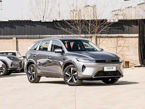 2025�� DM-i �Ǽݰ� 115KM�콢��